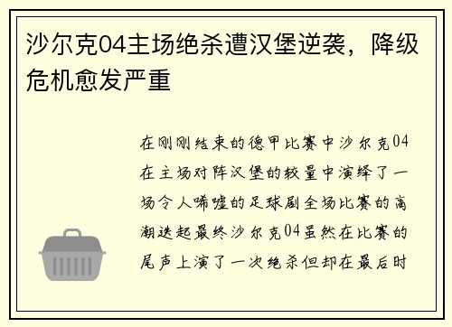 沙尔克04主场绝杀遭汉堡逆袭，降级危机愈发严重