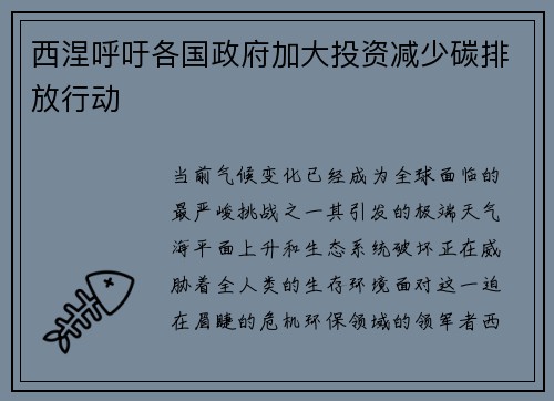 西涅呼吁各国政府加大投资减少碳排放行动